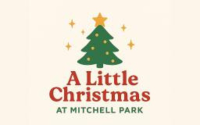 Christmas in the park